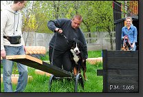 DSC_2906.JPG 