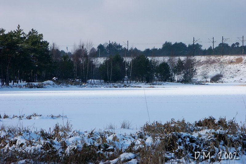 PICT0007.JPG 