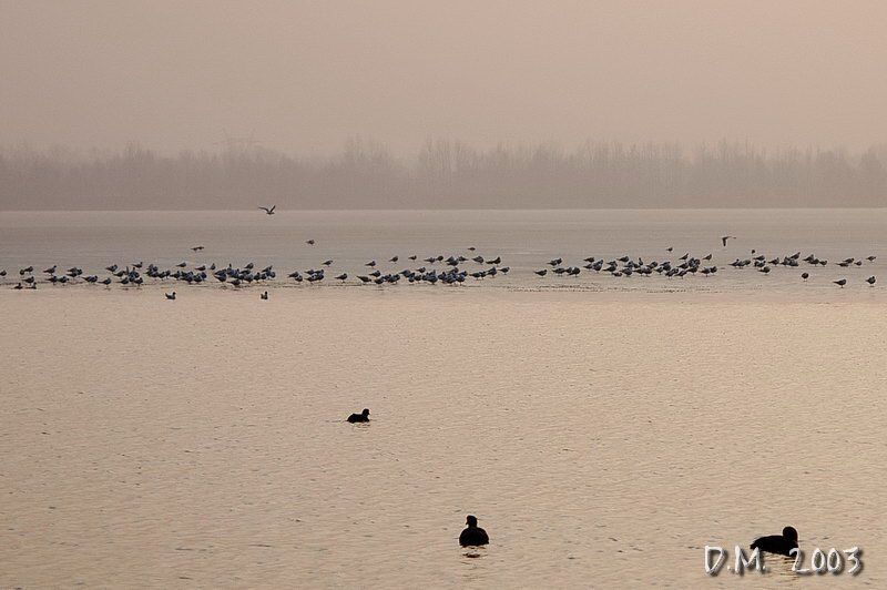 DSC_0122.JPG 